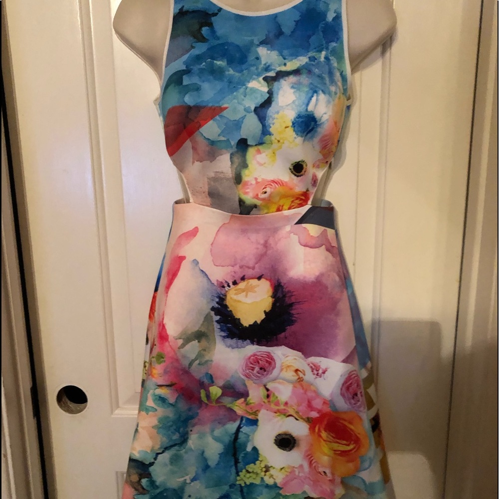 Clover Canyon Floral Dress